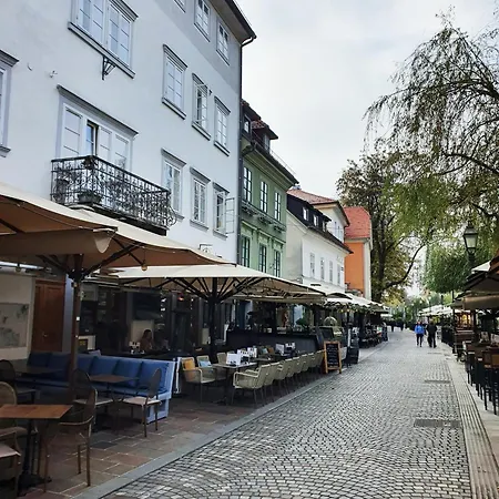 Riverside Elegance Apartamento