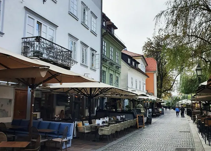 Riverside Elegance شقة