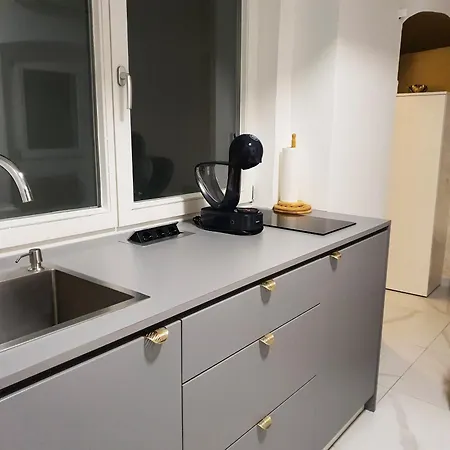 Riverside Elegance 公寓 卢布尔雅那